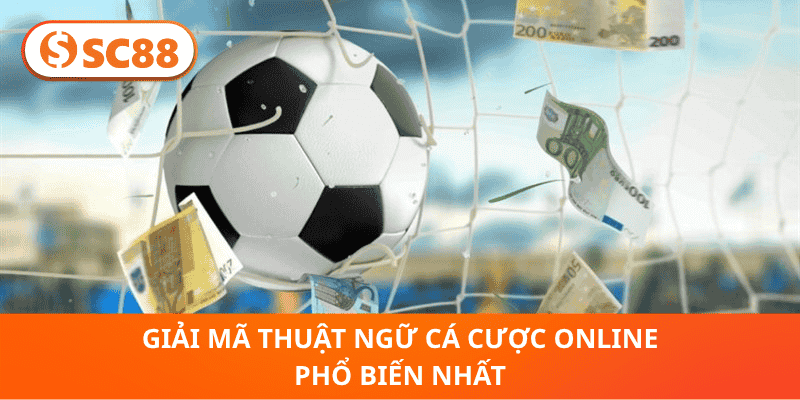 Giải Mã Thuật Ngữ Cá Cược Online Phổ Biến Nhất
