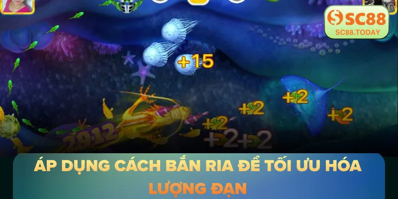 Áp dụng cách bắn ria để tối ưu hóa lượng đạn